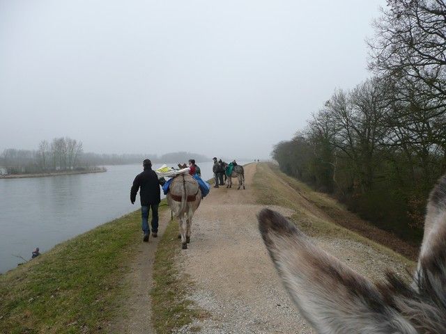 Loire Propre 2012 (20).jpg